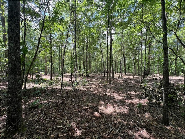 704 Old Hwy 66, Leslie, AR 72645