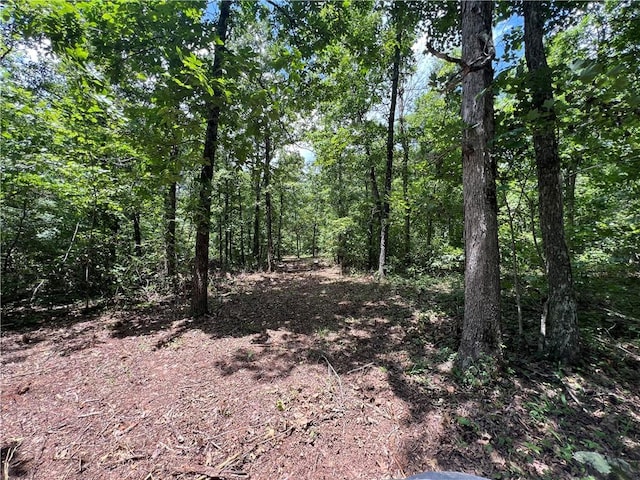 704 Old Hwy 66, Leslie, AR 72645