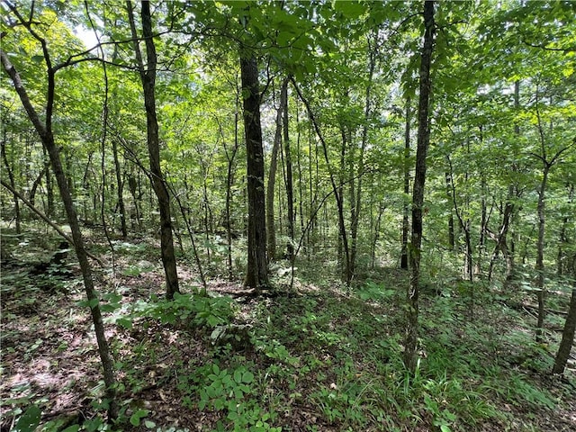 704 Old Hwy 66, Leslie, AR 72645