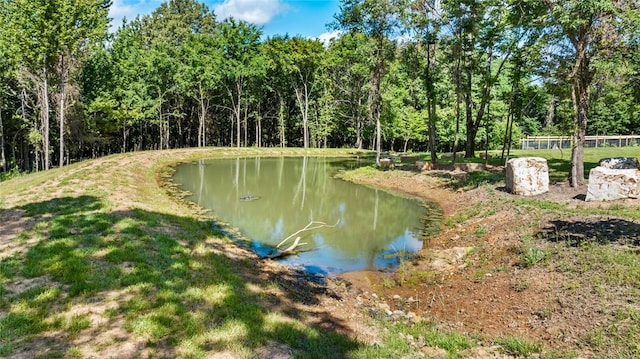 20653 Chimney Field Rd, Winslow, AR 72959 - photo 42