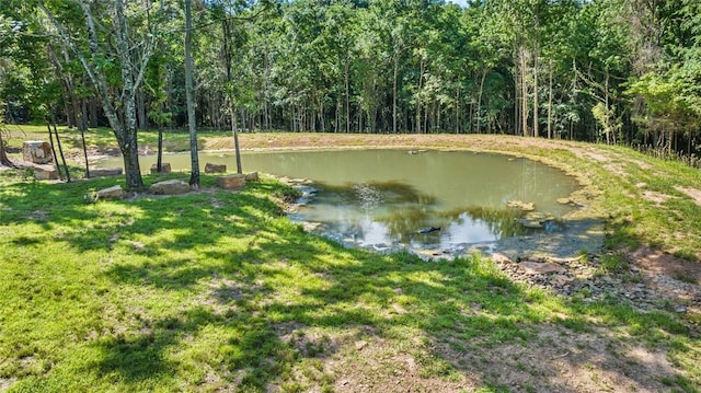 20653 Chimney Field Rd, Winslow, AR 72959 - photo 43