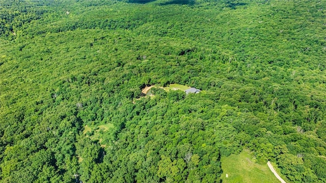 20653 Chimney Field Rd, Winslow, AR 72959 - photo 48