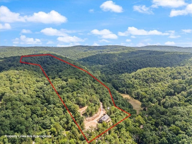 1015 County Road 142, Eureka Springs, AR 72632 - photo 4
