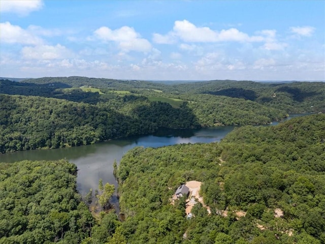1015 County Road 142, Eureka Springs, AR 72632 - photo 32
