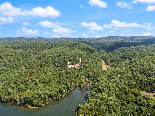 1015 County Road 142, Eureka Springs, AR 72632 - photo 35