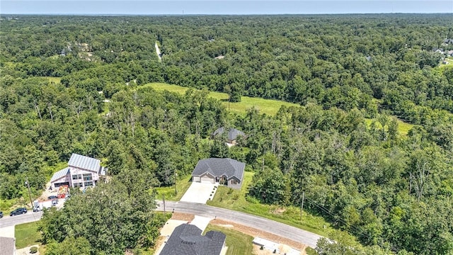 28 Copinsay Dr, Bella Vista, AR 72715 - photo 40