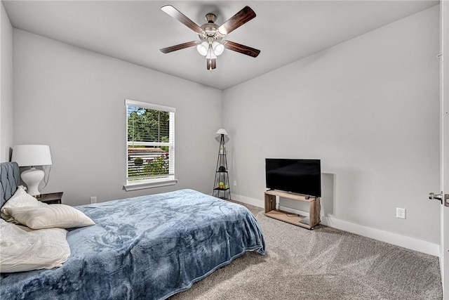 28 Copinsay Dr, Bella Vista, AR 72715 - photo 27