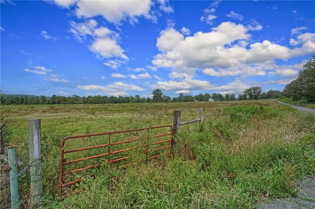 81 Eoff Ln, Center Ridge, AR 72027 - photo 33
