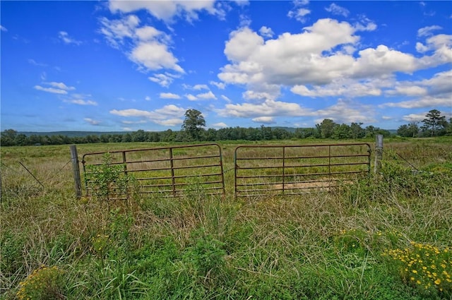 81 Eoff Ln, Center Ridge, AR 72027 - photo 34