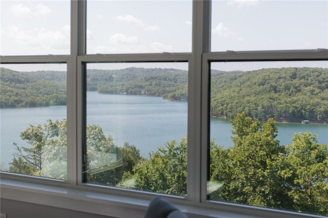 444 Beaverview Dr, Eureka Springs, AR 72631 - photo 23