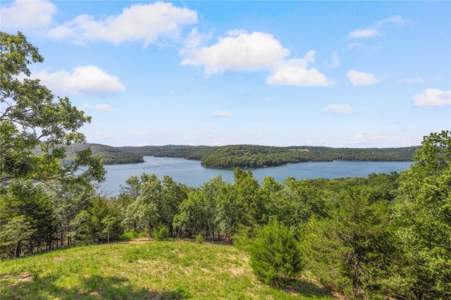 444 Beaverview Dr, Eureka Springs, AR 72631 - photo 2