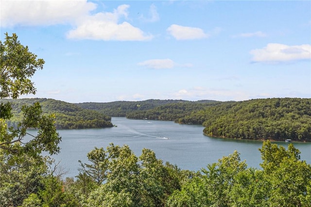 444 Beaverview Dr, Eureka Springs, AR 72631 - photo 3