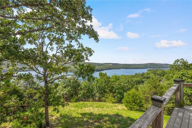 444 Beaverview Dr, Eureka Springs, AR 72631 - photo 7