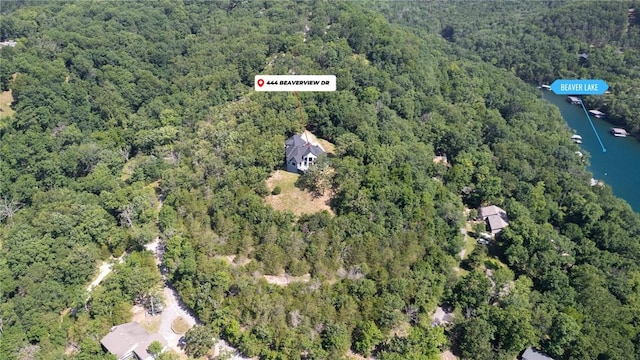 444 Beaverview Dr, Eureka Springs, AR 72631 - photo 9