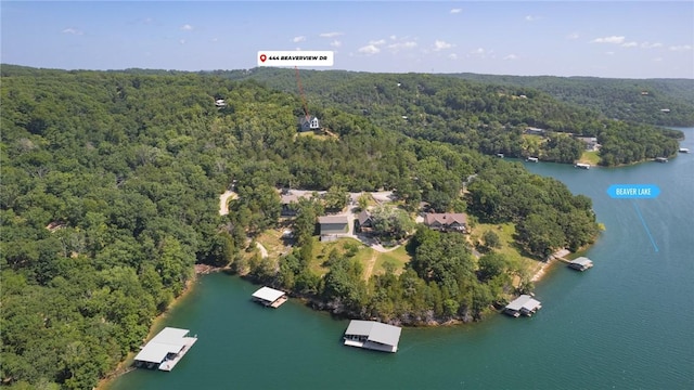 444 Beaverview Dr, Eureka Springs, AR 72631 - photo 50