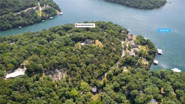 444 Beaverview Dr, Eureka Springs, AR 72631 - photo 51
