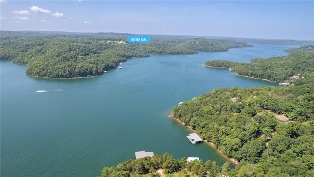 444 Beaverview Dr, Eureka Springs, AR 72631 - photo 52