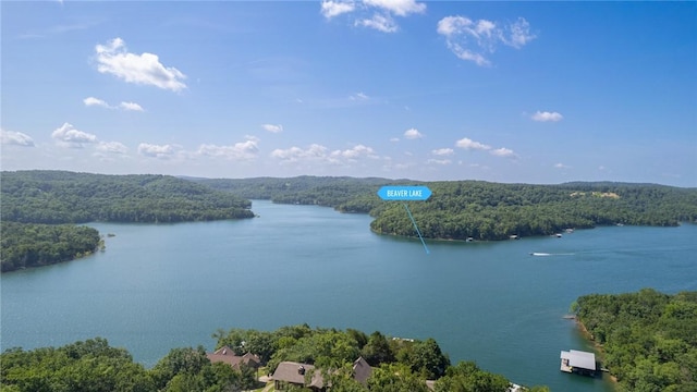 444 Beaverview Dr, Eureka Springs, AR 72631 - photo 54