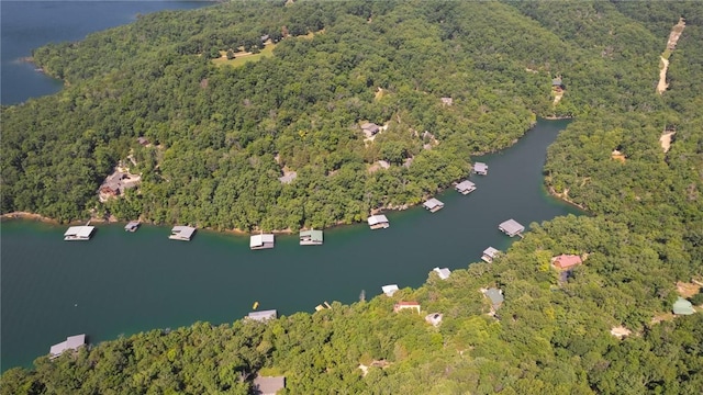 444 Beaverview Dr, Eureka Springs, AR 72631 - photo 56