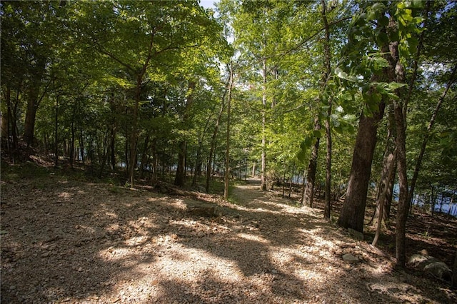 444 Beaverview Dr, Eureka Springs, AR 72631 - photo 58