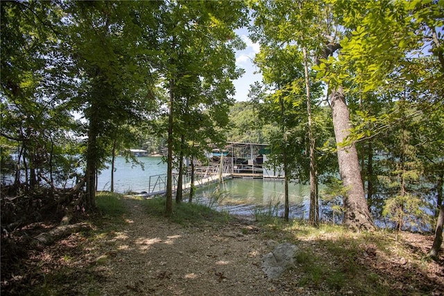 444 Beaverview Dr, Eureka Springs, AR 72631 - photo 59