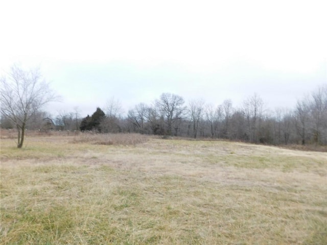 14593 Itll Do Rd, Pea Ridge, AR 72751 - photo 1