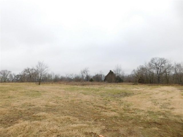 14593 Itll Do Rd, Pea Ridge, AR 72751 - photo 2