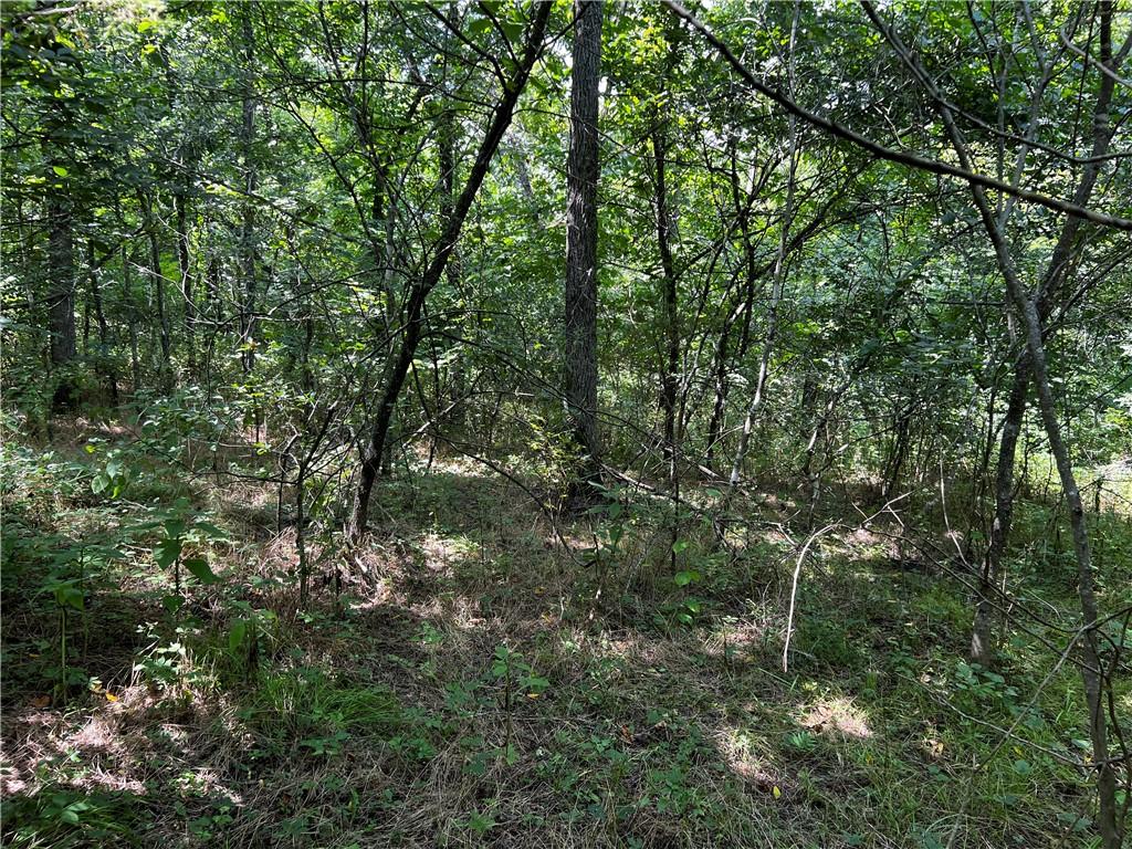 Granshire Dr, Bella Vista, AR 72714 - photo 1