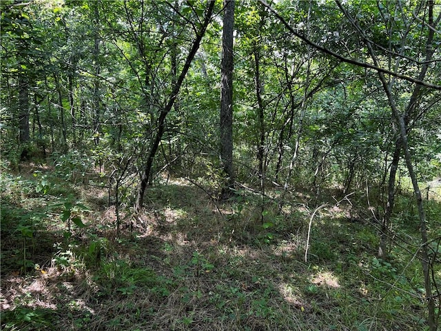 Granshire Dr, Bella Vista, AR 72714 - photo 1