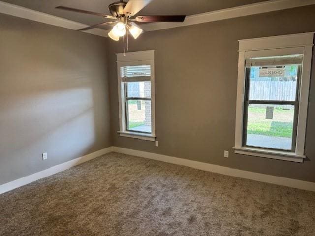 952 Round Top St, Prairie Grove, AR 72753 - photo 7
