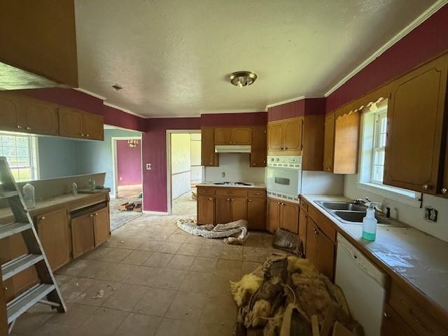 10127 State Highway 22, Paris, AR 72855 - photo 20