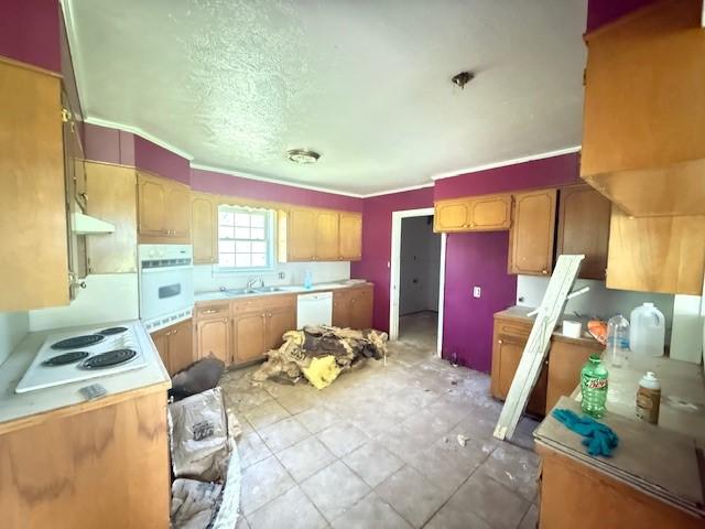 10127 State Highway 22, Paris, AR 72855 - photo 22