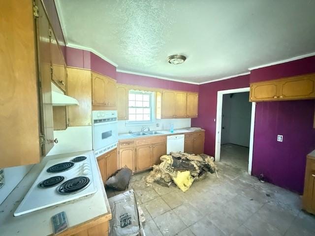 10127 State Highway 22, Paris, AR 72855 - photo 24