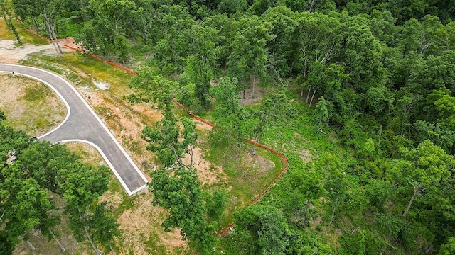 LOT12 Woods Creek Rd, Bentonville, AR 72712 - photo 8