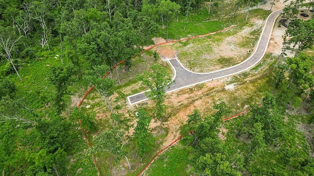 LOT12 Woods Creek Rd, Bentonville, AR 72712 - photo 9