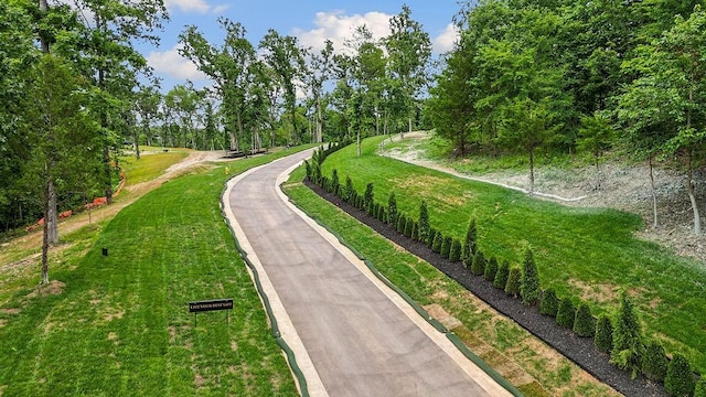 LOT12 Woods Creek Rd, Bentonville, AR 72712 - photo 12