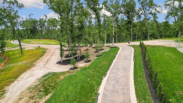 LOT12 Woods Creek Rd, Bentonville, AR 72712 - photo 13