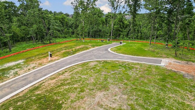 LOT12 Woods Creek Rd, Bentonville, AR 72712 - photo 17