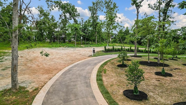 LOT12 Woods Creek Rd, Bentonville, AR 72712 - photo 20