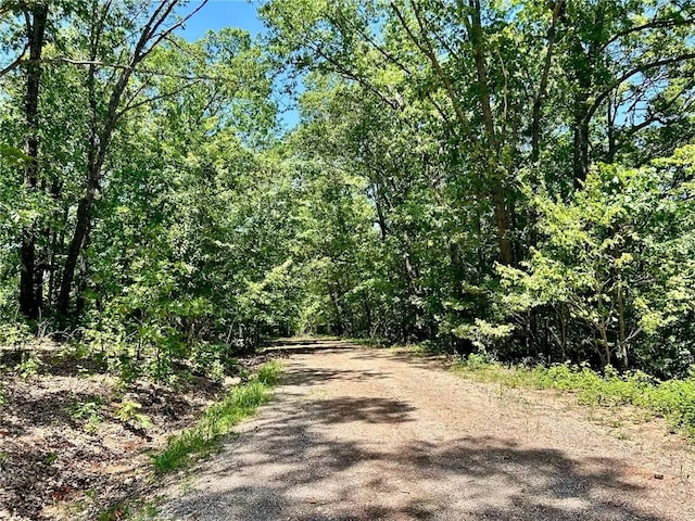 LOTS28-33 Hatfield Ln, Bella Vista, AR 72714 - photo 8