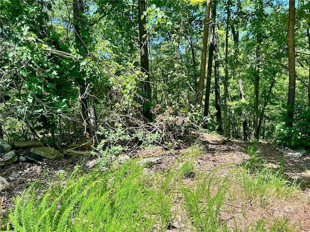 LOTS28-33 Hatfield Ln, Bella Vista, AR 72714 - photo 10