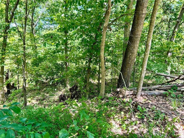 LOTS28-33 Hatfield Ln, Bella Vista, AR 72714 - photo 12