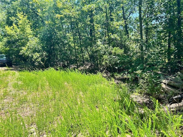 LOTS28-33 Hatfield Ln, Bella Vista, AR 72714 - photo 13