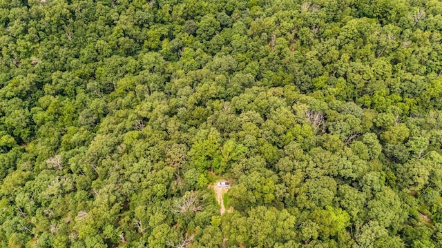 LOTS28-33 Hatfield Ln, Bella Vista, AR 72714 - photo 6