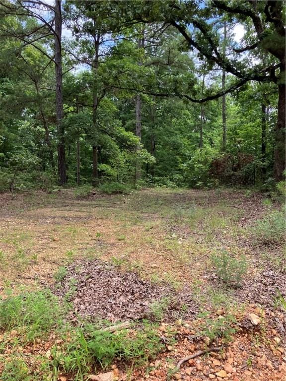 2960 Madison 1360, Huntsville, AR 72740 - photo 2