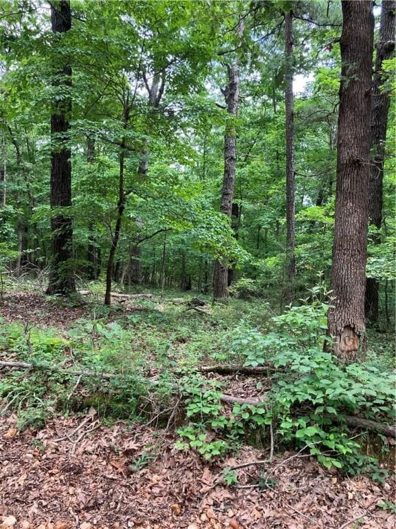 2960 Madison 1360, Huntsville, AR 72740 - photo 3