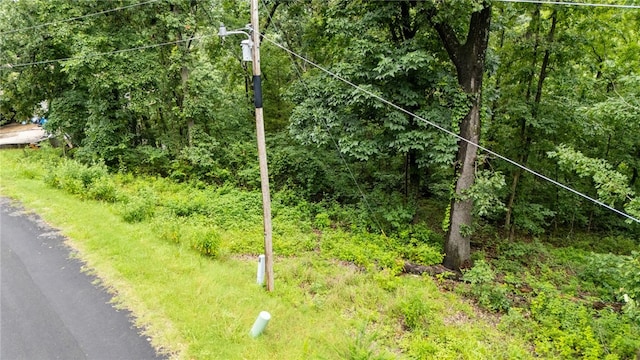 Maltby Ln, Bella Vista, AR 72715 - photo 8