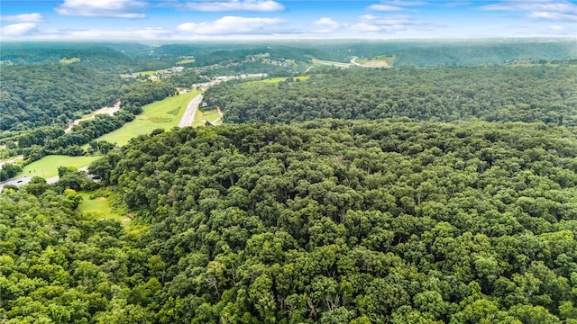 US Dr, Bella Vista, AR 72714 - photo 7