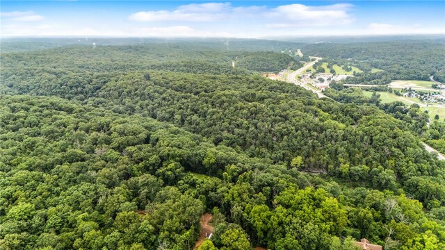 US Dr, Bella Vista, AR 72714 - photo 16