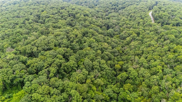 US Dr, Bella Vista, AR 72714 - photo 19